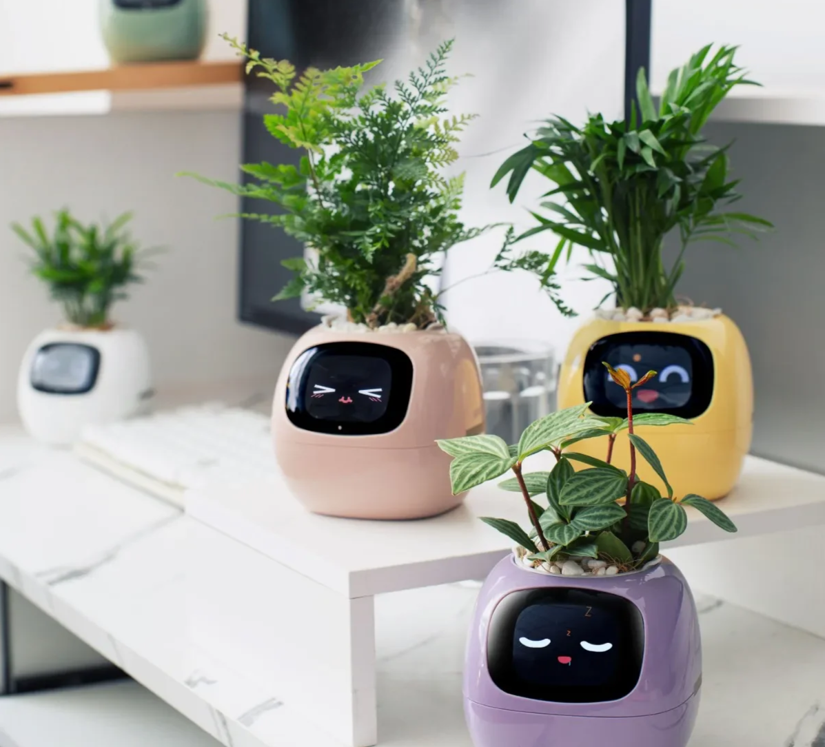 Tamagotchi Smart Planter - 49 Rich Expressions, 7 Smart Sensors, AI Plant Care